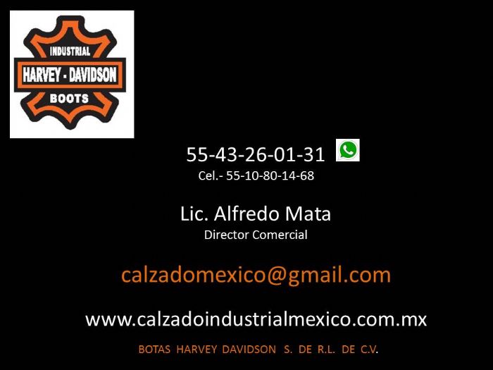 CALZADO INDUSTRIAL